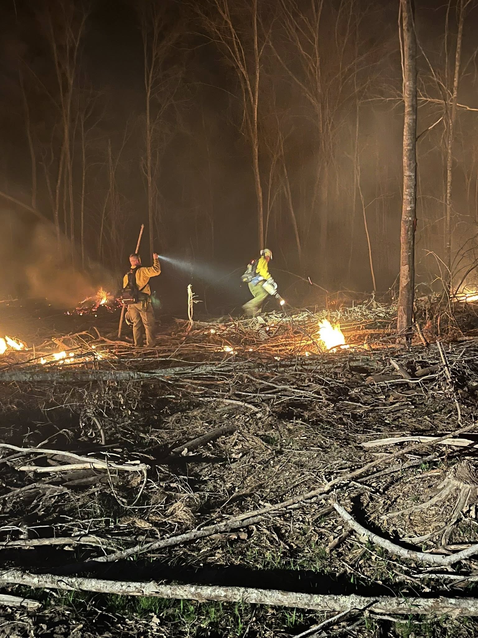 Firefighters combat a wildfire at night, using hoses and equipment in a smoky forest with visible flames amid fallen branches.